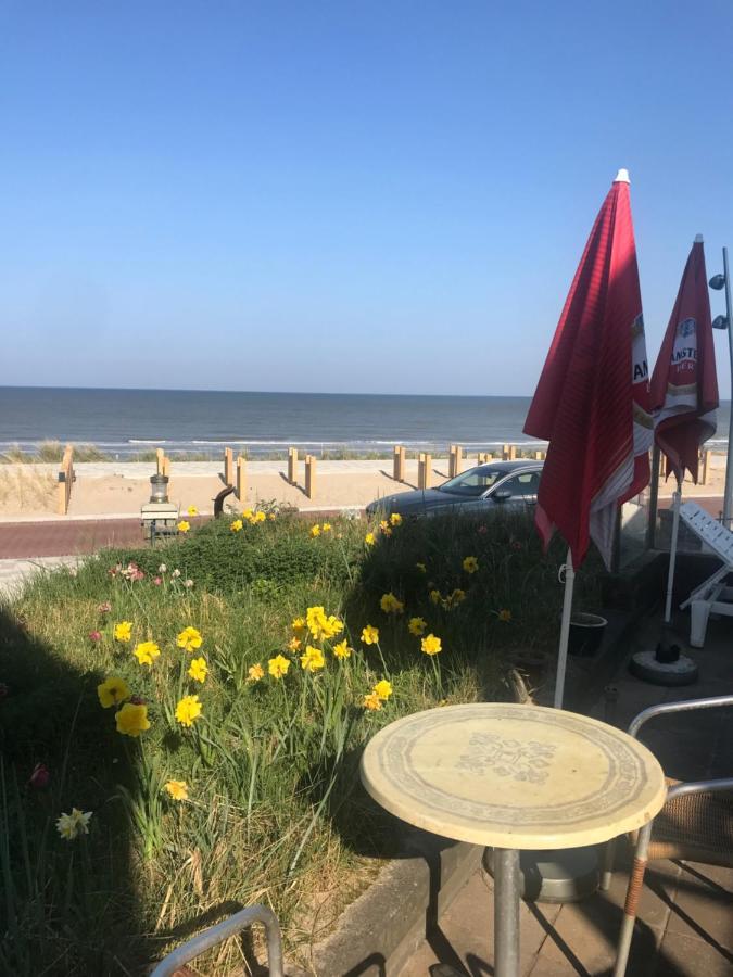 Chalet For 2 At The Beach Zandvoort Luaran gambar